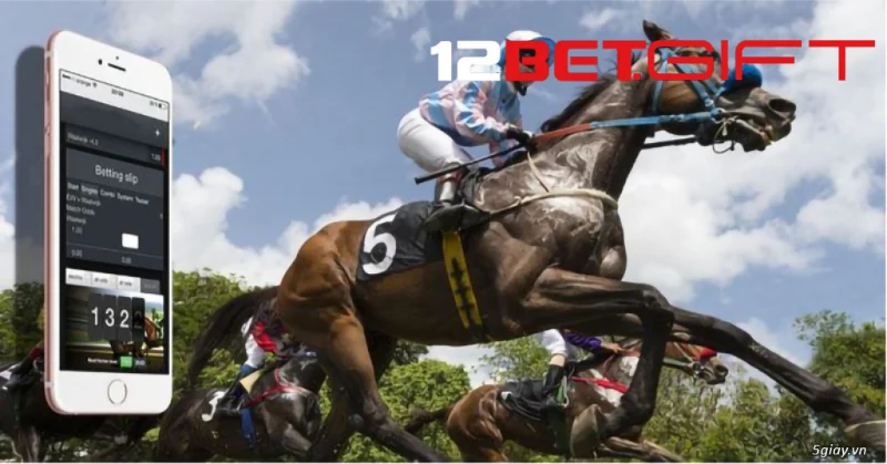 Các loại vé cược chủ yếu