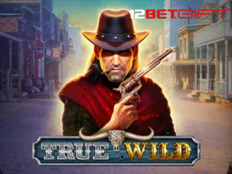 Tổng quan về True wild 12Bet